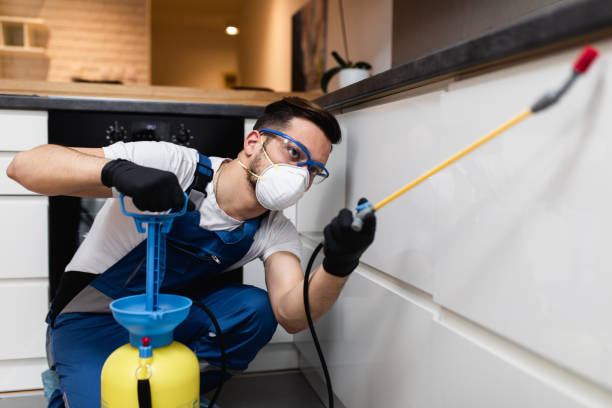 Best Bed Bug Extermination  in Nettleton, MS