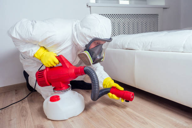Best Best Pest Control Companies  in Nettleton, MS