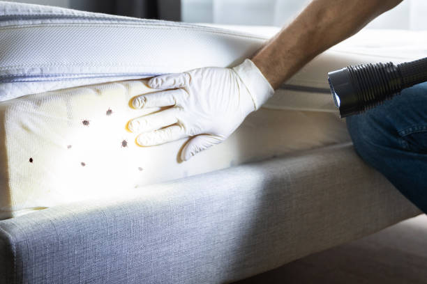 Best Cockroach Control Services  in Nettleton, MS