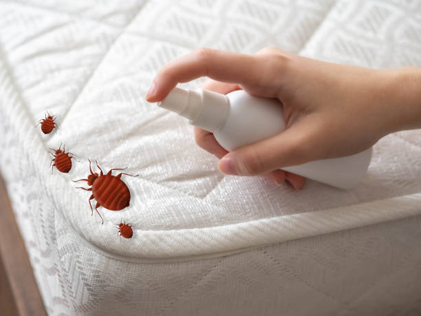 Best Mosquito Control Services  in Nettleton, MS