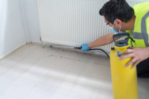 Best Exterminator Services  in Nettleton, MS